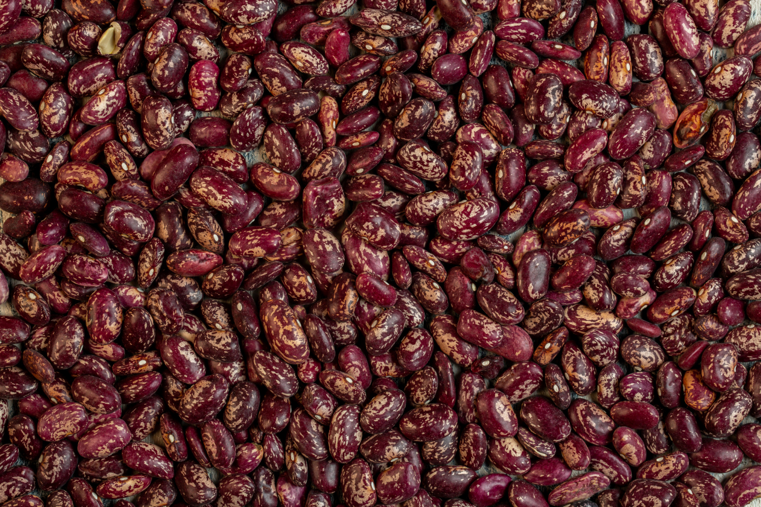 Speckled beans mixed variety