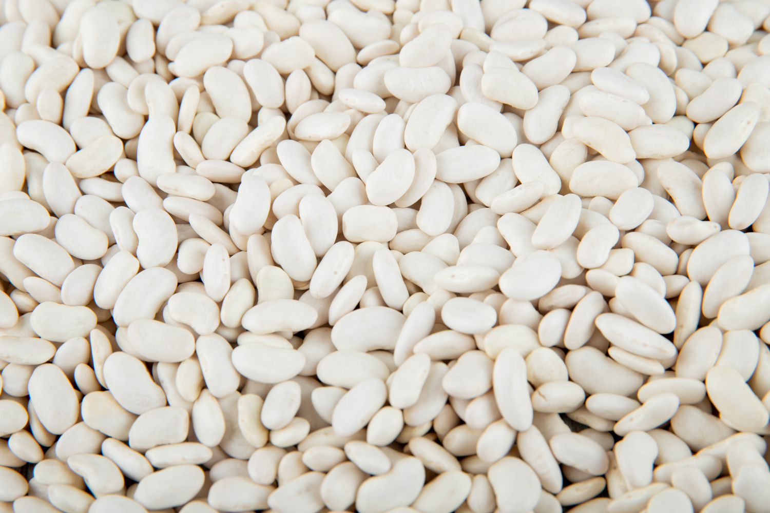 White pea beans and kidney beans